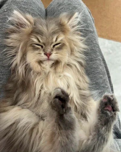 skrogg - Dzień dobry.