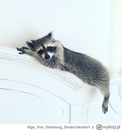 VigoVonHomburg_Deutschendorf - Leżę se
#szopeknadzis