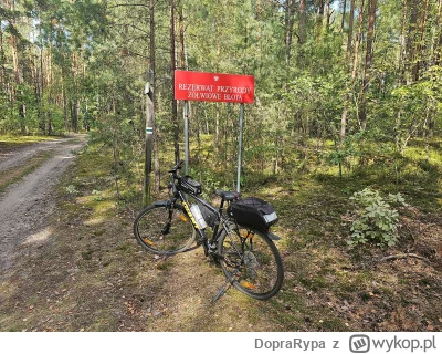 DopraRypa - 503 025 + 165 = 503 190

Z wizytą u żółwi w poszukiwaniu kwadratów.

To...