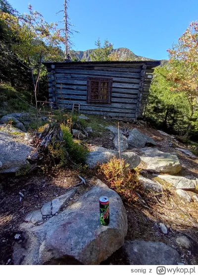 s.....g - taka chatka dla chłopa

#przegryw #spierdotrip