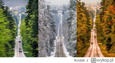 Kodak - Wjazd do Kielce od strony Zagnańska.
#kielce #swietokrzyskie  #fotografia #zi...