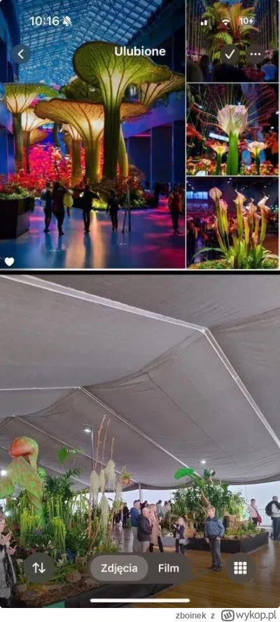 zboinek - Nowy scamic.

tldr;
organizator nagenerowal zdjec wystawy, ktore nijak mial...