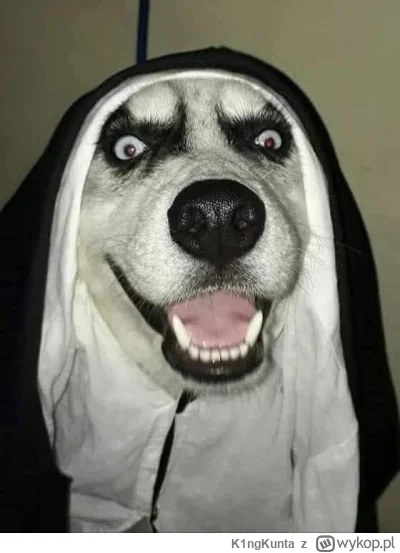 K1ngKunta - @Imitacja_czlowieka Kierownik: