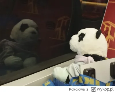 Pokojowa - Wszystko to, jest jakieś takie..  nie wiem... 

#przegryw #spierdotrip #pr...