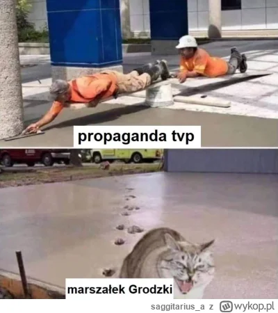 saggitarius_a - #tvpis #heheszki