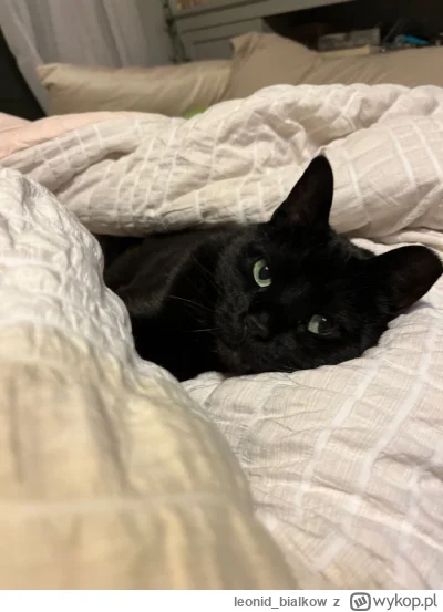 leonidbialkow - @CorvusFrugilagus: cze dla latajoncego