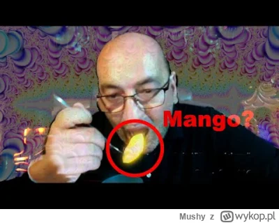 Mushy - Machają odkleiło po mango
#raportzpanstwasrodka #raportzakcji
