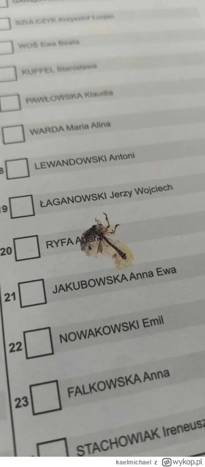 kaelmichael - Miałem skserowanego komara na karcie głosowania. Czyżby agitacja? ( ͡° ...