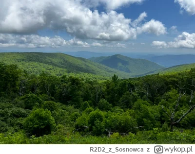 R2D2zSosnowca - @R2D2zSosnowca komu to przeszkadzało?