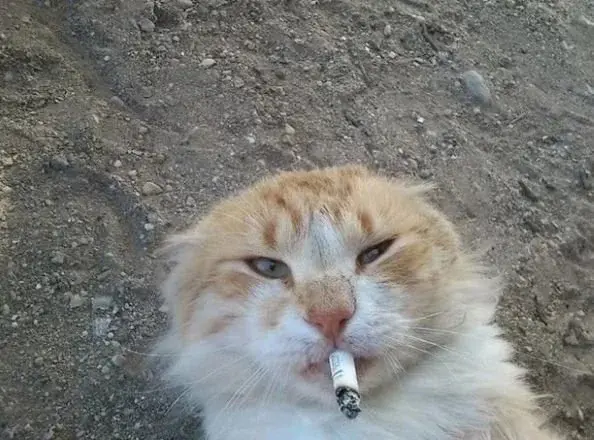 RitmoXL - Zwykle robię sobie luźniejszy dzień w środy jako środek tygodnia ale ten ty...