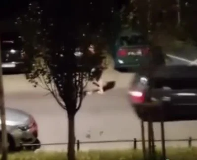 GandaIf - XD
#sejm #heheszki