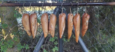 OperatorHydrolokator - @atteint: nie ;) ale taką łódzką beczkę też mam ;) 
@Blaskun: ...