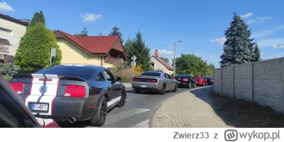 Zwierz33 - Tak to wyglądało na tym zlocie co se huop był XD 

#przegryw