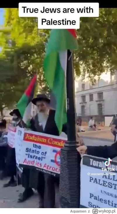 Aquamen - @Samy_Naceri: Zgaduje, że ortodoksyjni Żydzi, im się nie podoba co robi Izr...