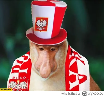 why1sthat - #mecz 
NIC SIE NIE STALO, POLACY NIC SIE NIE STALO.
Ale meczyk kurde zene...