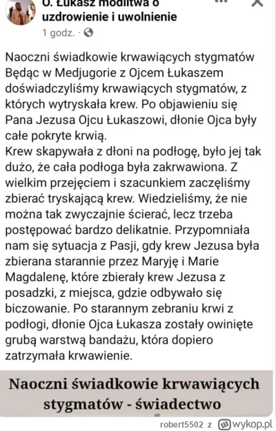 robert5502 - Tryskające atrakcje na wyjazdach z ojcem Łukaszem
#bekazkatoli #religia ...