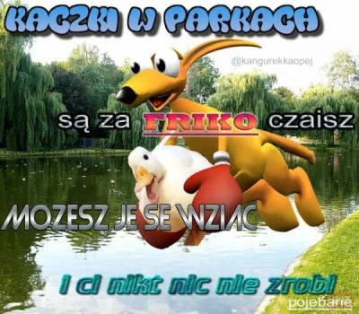 Fuco - @Zamroczony: czekaj, to kaczki w parku też nie są za darmo? D: