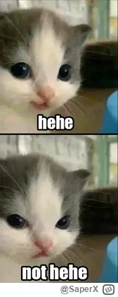 SaperX - Ale to już się nie uśmiecham:
Portal brd24.pl próbował sprawdzić, ile wyrokó...