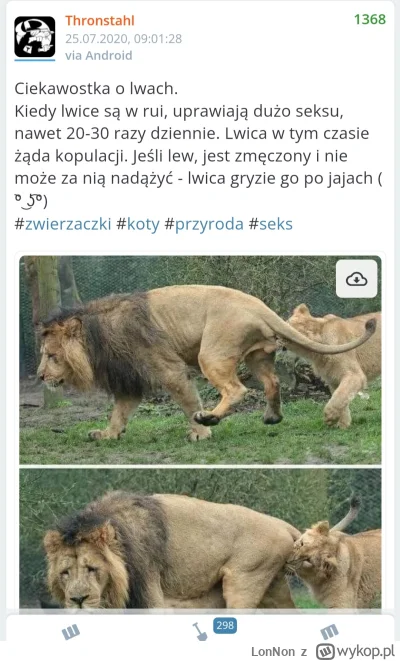 L.....n - @30062018 

Gdzieś to już widziałem ( ͡º ͜ʖ͡º)

ale ja to 5 lat ma wykopie ...