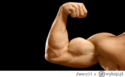 Zwierz33 - @AMBIWALENTNYPSIUR: ヽ( ͠°෴ °)ﾉ