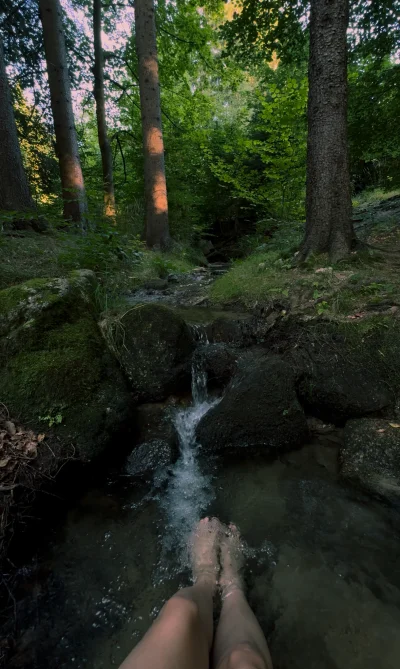 Historycznygagatek - W końcu ciepełko, wolne, za domem zero turystów bo wszyscy w dro...