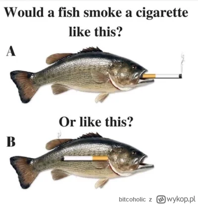 bitcoholic - Jeśli ryba paliłby papierosa to jak?
#heheszki #smiesznypiesek #akwaryst...