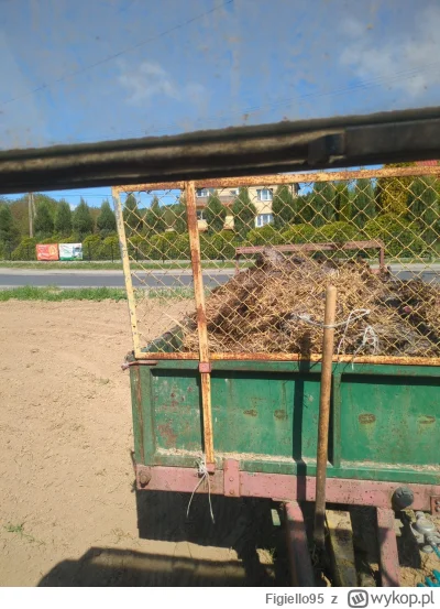 Figiello95 - Ja wam dam majówkę miastowe sku#$@ny ( ͡°( ͡° ͜ʖ( ͡° ͜ʖ ͡°)ʖ ͡°) ͡°)
#he...