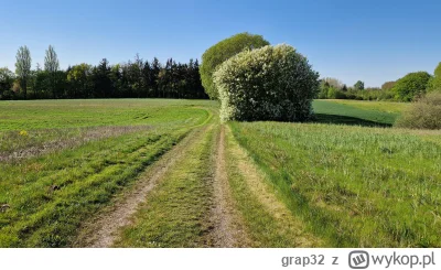 grap32 - Trochę zapachu i dźwięku w ta smutna jak piz..a pogodę.

#przegryw #depresja...