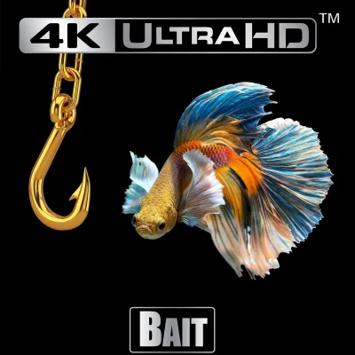 OrionTheWarrior - @HondaCivic winszuję ( ͡° ͜ʖ ͡°)