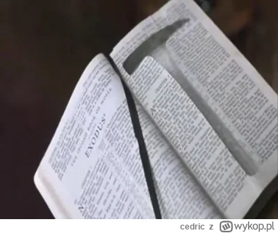 cedric - @Nupharizar (⌐ ͡■ ͜ʖ ͡■)