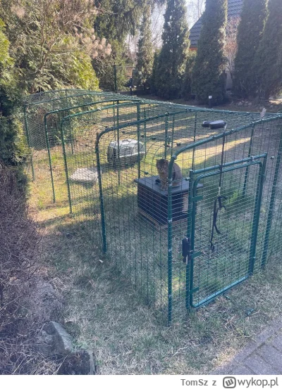 TomSz - Kojce kotów