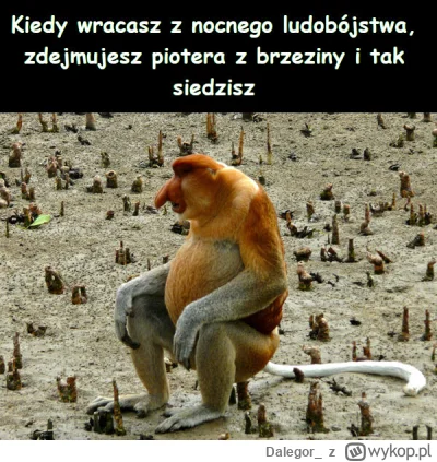 Dalegor_ - #konkursnanajbardziejgownianymemznosaczem