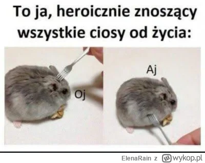 ElenaRain - #heheszki