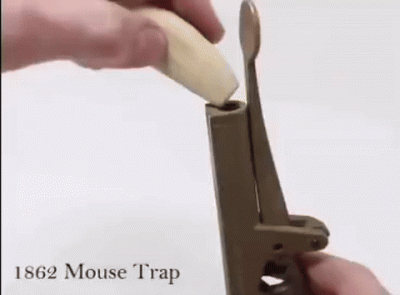 Corvus_Frugilagus - Witam wszystkich serdecznie w te piątkową no.