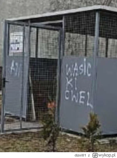 dizel81 - #danielmagical #patostreamy