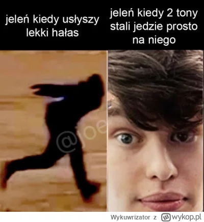 Wykuwrizator - #heheszki