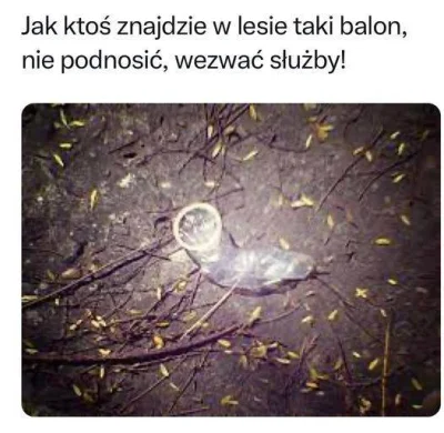 Ksemidesdelos - #polska #bialorus #balon #alertrcb #bekazpisu #wojna