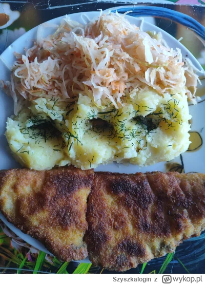 Szyszkalogin - #przegryw #glodnyjakpies Jem obiad.