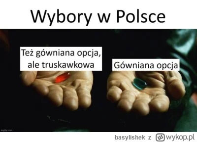 basylishek - #wyboryprezydenckie2025 #trzaskowski2025 #nawrocki2025 #ciszawyborcza