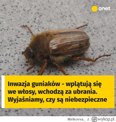 Melkovva_ - IĆSTONT!