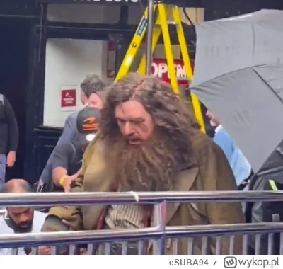 eSUBA94 - Hagrid co oni ci zrobili....

#harrypotter #film #seriale