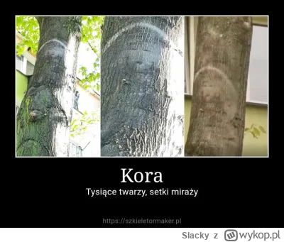 Slacky - #heheszki #hanuszki