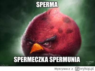 Wykrywacz - Auuu, jeszcze tylko 8 godzin xd
#codziennasperma