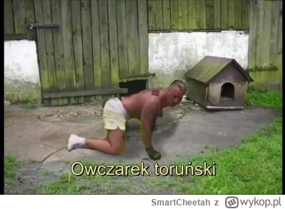 SmartCheetah - #famemma Wątpię, by dali Deniska Wielkiemu Bu na pożarcie. Plan był ta...