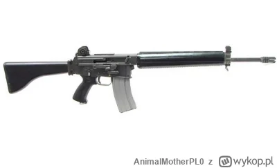 AnimalMotherPL0 - Najpopularniejsza zapomniana broń, czyli AR-18

Dziś, niezbyt wesoł...