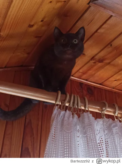 Bartezzz92 - #codziennybaton 
Kiedy parapet nie wystarcza, to jest jeszcze karnisz( ͡...