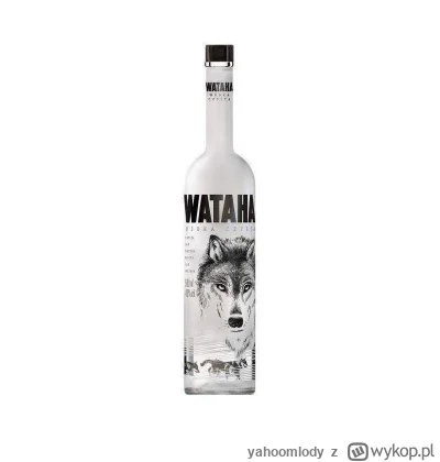 yahoomlody - polecam nowy produkt na rynek zagraniczny, głównie holenderski i niemiec...