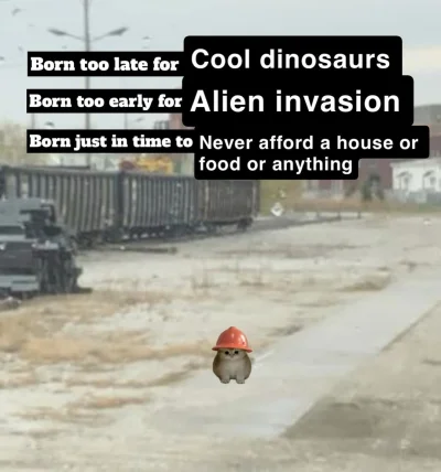 Metylo - Sekcja memów 
#nieruchomosci