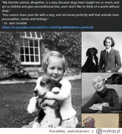 Rzewliwy_wykolejeniec - Ehhh RIP Jane Goodall (╥﹏╥)

Ciekawostka: zawsze podkreślała,...