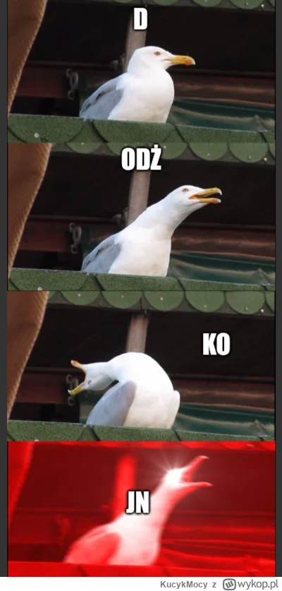 KucykMocy - #bitcoin #kryptowaluty